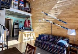 Indian Paintbrush Cabin 2 - 2 bedrooms in Creede, Colorado