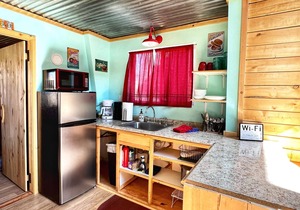 Indian Paintbrush Cabin 2 - 2 bedrooms in Creede, Colorado