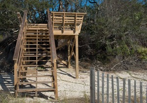 Indian Pass Fun, Private & Cozy Beach Cottage--The Barnacle