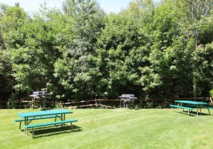 Inns of Waterville Valley one bedroom Condo close to Town Square (205)