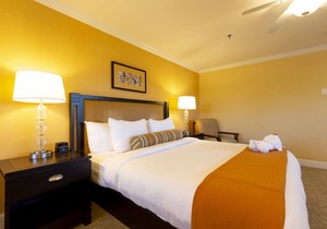 Instant Booking 25% off - Carlsbad Inn (1 Bedroom)