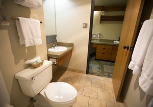 Iron Blosam Lodge, Snowbird in Snowbird