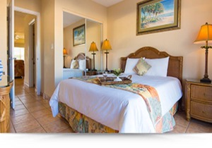 Island Seas Resort- 2 Bedroom Luxury Villa