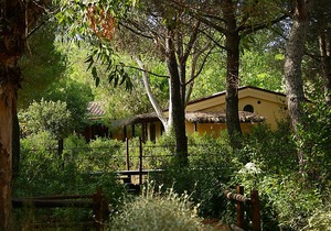 21 m² Resort ∙ 1 bedroom ∙ 2 guests