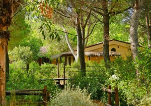 42 m² Resort ∙ 2 bedrooms ∙ 4 guests
