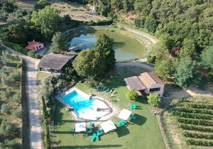 PINETA - Fattoria Celle Villa Massi