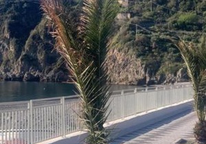 Casa vacanze STEVIA