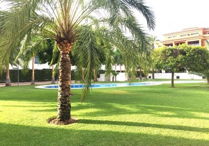 Jardines de Las Marinas II DENIA