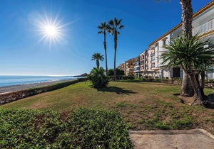 Jardines del Mar Summ
