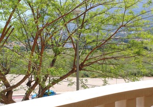 Jardines Del Montgo VyB