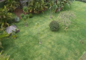 Jasmineiro - Palms Palace Apartment