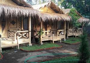 Javana Homestay