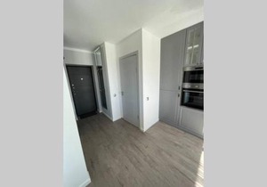 Jomas 11-13