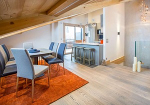 JOUX PLANE B301