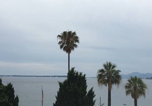 JUAN LES PINS Large New Studio 2018 Seafront 4 People