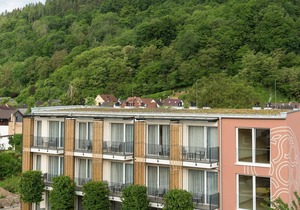 Junior Suite - Emich's Hotel