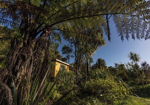 Kanuka Cabin - Ao Marama Retreat - Stunning Bush setting and Ocean Views