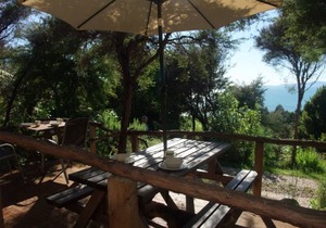 Kanuka Cabin - Ao Marama Retreat - Stunning Bush setting and Ocean Views