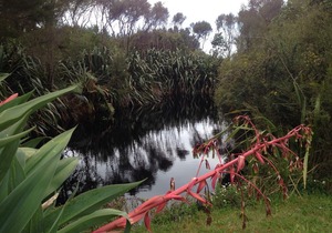 Kanuka Cabin - Ao Marama Retreat - Stunning Bush setting and Ocean Views