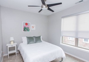 Kasa | Take a Stroll in Forest Park | Forest Park