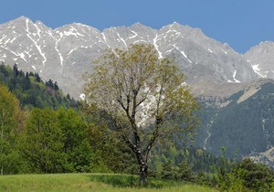 Kasperhof Apartments Innsbruck Top 6 - 7