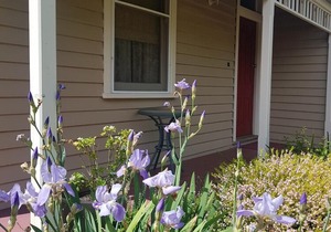 Kenmaur Cottage - Luxury Cottage in an amazing location