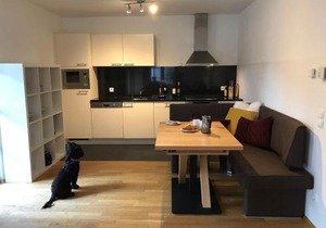 Kerstin 3 by SMR Rauris Apartments - inc Spa and near Gondola