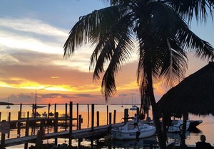 Key Largo Cottages