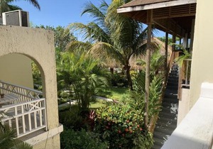 King Suite at Oceanview Resort in Jamaica - Enjoy 7 miles of White Sand Beach!