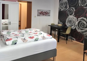 Kleinwohnung - Gute Verkehrsanbindung - Beim Reumannplatz