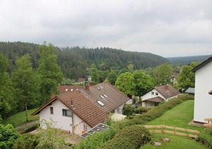 Kuckucksnester Friedenweiler