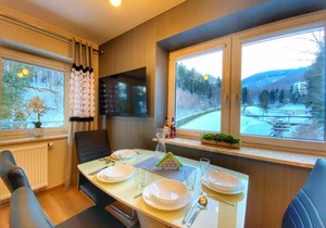 Kurort Kozubnik Apartament 33 Wellness &SPA