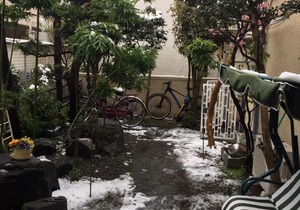 Kyoka house