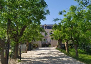 La Châtelaine -Château La Vidalle - Charming bed and breakfast in the heart of a stud farm