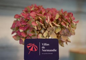 La Fleur de Sel d'Etretat