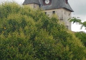 La Laverie - Nice apartment