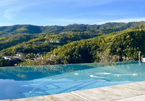 La Plantation in Pégomas