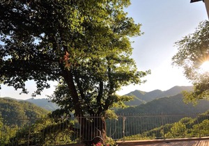 La Quercia di Vernio - Guest houses and apartments