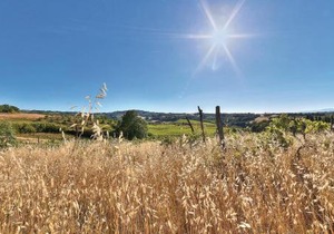 La Terrazza-Podere Moricci