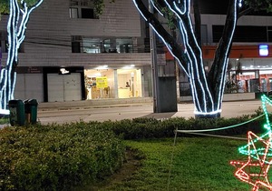 Lagoa Park Hotel