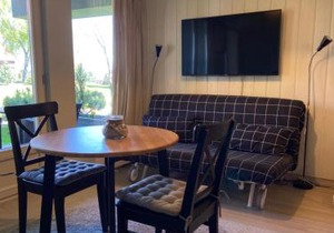 Lagoon-view apartment in Preila