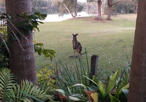 Lake's Edge in Lake Conjola