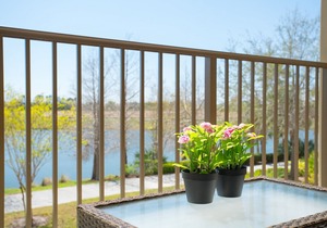 Lake View Delight in Orlando