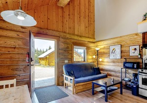 Lakefront wilderness resort cabin with private deck, grill, & WiFi