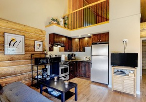 Lakefront wilderness resort cabin with private deck, grill, & WiFi