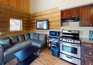 Lakefront wilderness resort cabin with deck, full kitchen, & internet