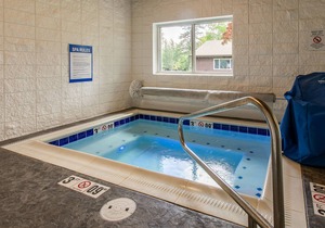Lakeside condo with pool, hot tub, sauna & beach access
