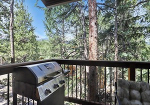 Lance's West 2BDR and Loft- Very Walkable