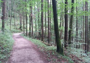 Landhaus Fuchs