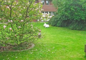 'Landhaus Voss' Typ 4 Nr11
